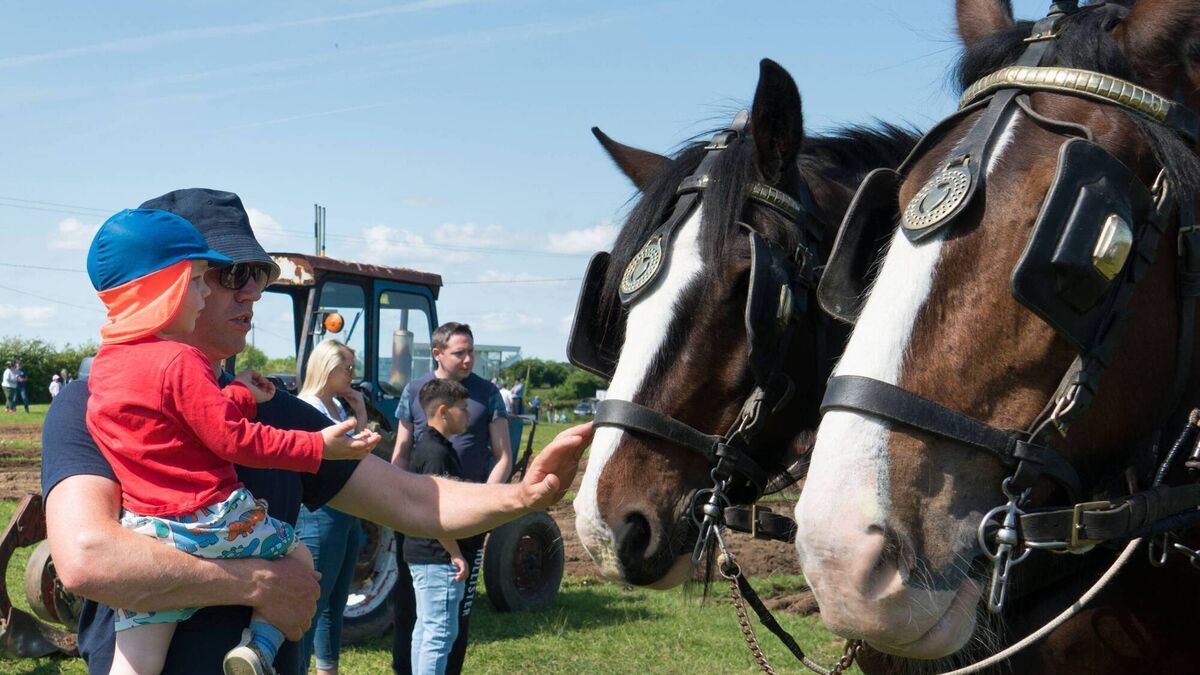 Picture special: Roscommon Ploughing Championships 2024