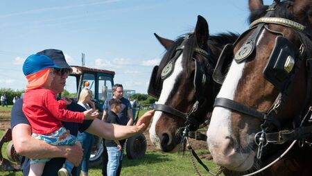 Picture special: Roscommon Ploughing Championships 2024