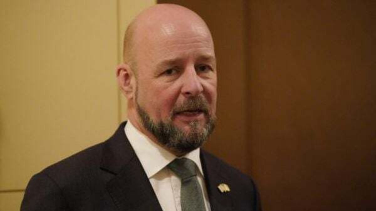 High Court halts dismissal of Philip Nolan as director general of Science Foundation Ireland