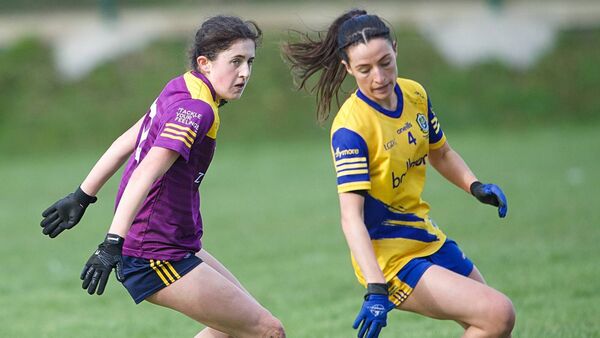 Wexford calling once more in the championship