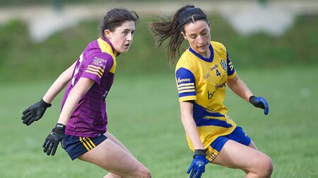 Wexford calling once more in the championship