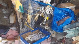 ISPCA rescues 121 birds from deplorable conditions in the Midlands
