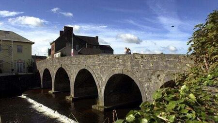 Incident in which 5,000 fish died in Cork river 'heartbreaking for community'