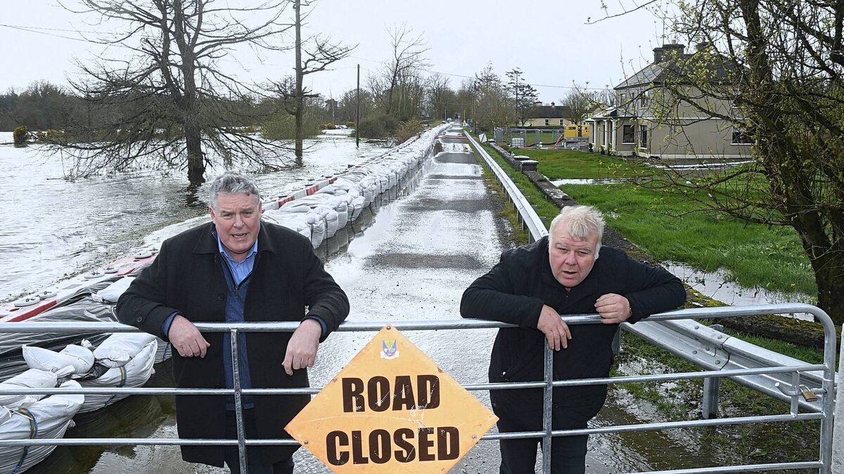 Roscommon has two sitting MEPs after Mullooly claims fifth seat