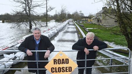 Roscommon has two sitting MEPs after Mullooly claims fifth seat