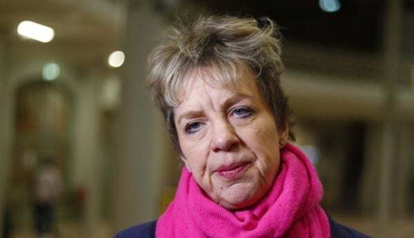 Most people expect early general election in autumn, says Bacik