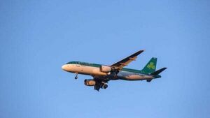 Aer Lingus to contact passengers as flights cancelled due to industrial action Aer Lingus to contact passengers as flights cancelled due to industrial action