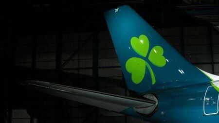 Aer Lingus cancels 50 further flights ahead of pilots' industrial action