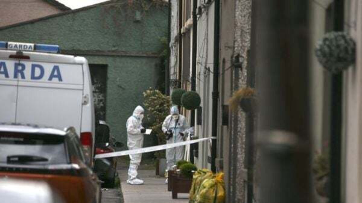 Bloodstained woman who was found naked on street told garda: 'I killed my mother'