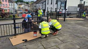 Team from Nordson Medical undertake huge clean-up in Boyle
