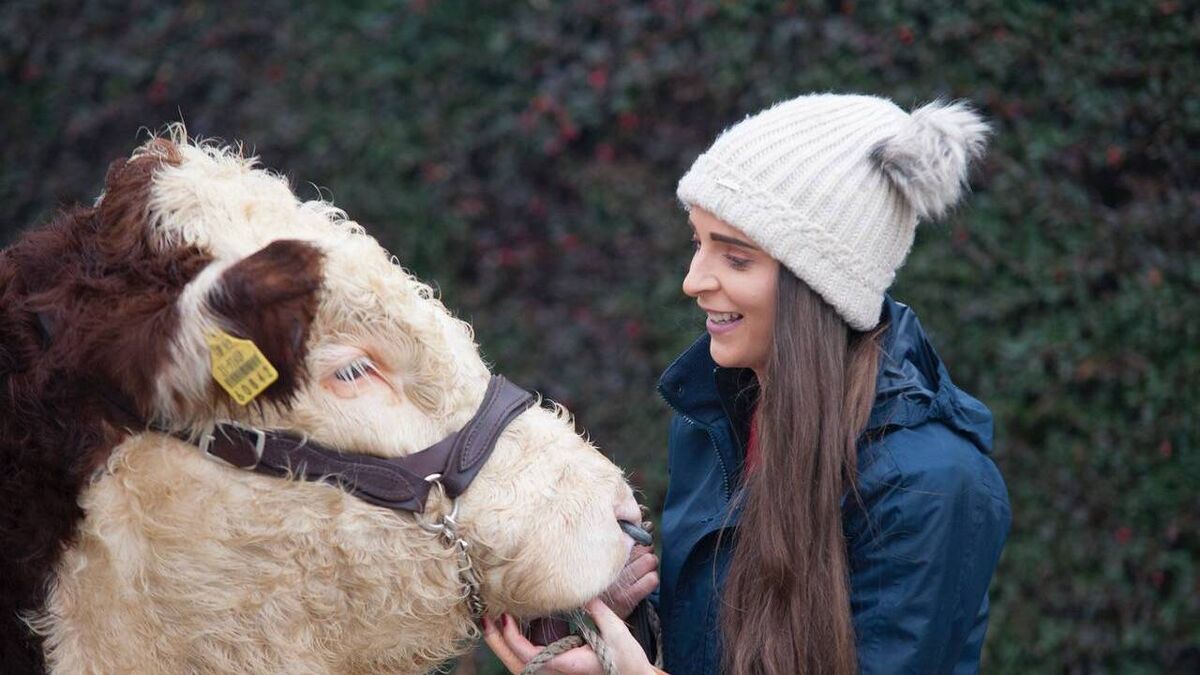 Young County Roscommon farmer takes part in calf rearing challenge