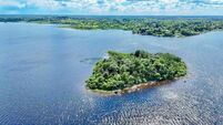 Opportunity to buy your own little slice of island paradise in County Roscommon 