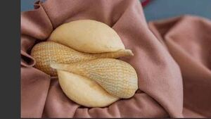 New exhibition by Naomi Draper opens at Roscommon Arts Centre