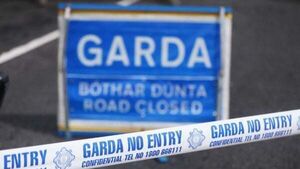 Woman dies following collision with truck in Waterford