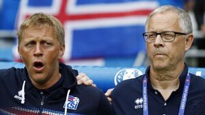 Hallgrimsson will bring clarity to struggling Ireland, says Lagerback