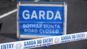 Van driver in his 70s dies in Co Kerry crash