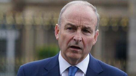 Part of Tánaiste's Kenya visit cancelled after nine bodies discovered, serial killer arrested