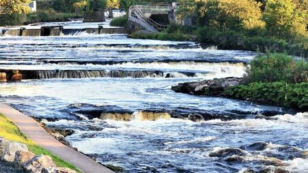 850 dead salmon found in Sligo river