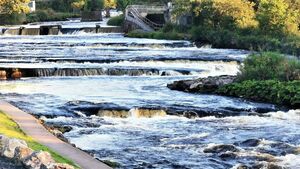 850 dead salmon found in Sligo river
