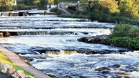 850 dead salmon found in Sligo river