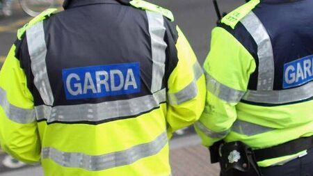 Gardai appeal for information after shots fired at home in Longford