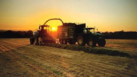 Grateful to live among Roscommon’s fields of gold