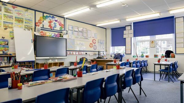 Seven new special classes approved for County Roscommon schools