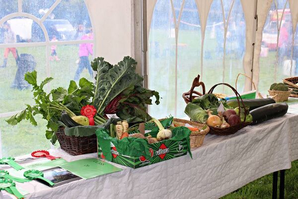 The array of vegetables at Boyle Summer Show in 2023.