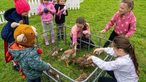 Boyle Summer Show 2024 promises fun for all