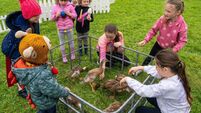 Boyle Summer Show 2024 promises fun for all