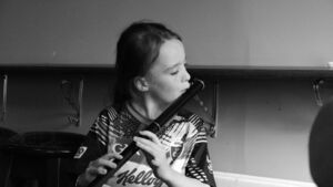 Picture Gallery: O'Carolan Harp Festival and Summer School in full swing