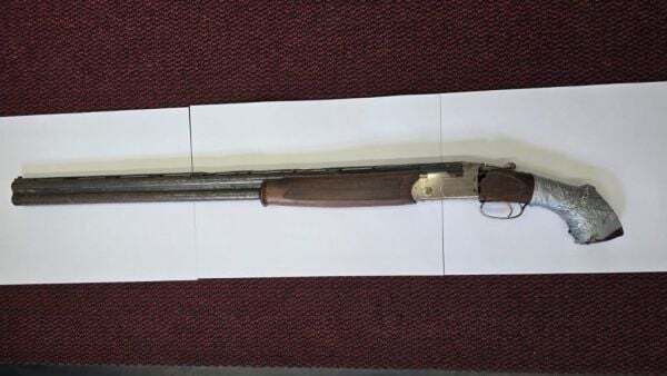 Gardaí seize firearm and ammunition in Co Westmeath