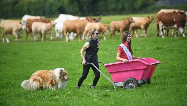 Bella the family dog with Miriam and Rachel Hastings on the farm. Rachel will be heading to Tralee to represent Roscommon in the Rose of Tralee. Pic Gerard O'Loughlin