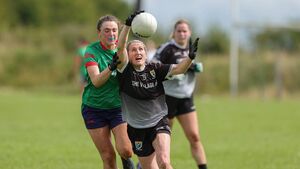 Éire Óg put Clann to the pin of their collar