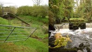 Making 'The Cut' for Heritage Week in County Roscommon