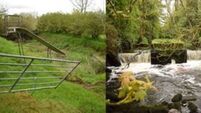 Making 'The Cut' for Heritage Week in County Roscommon