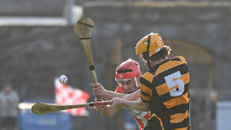John Horgan on hurling: Divisions not as strong as before yet Imokilly look the real deal