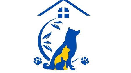 Roscommon SPCA seeks volunteers