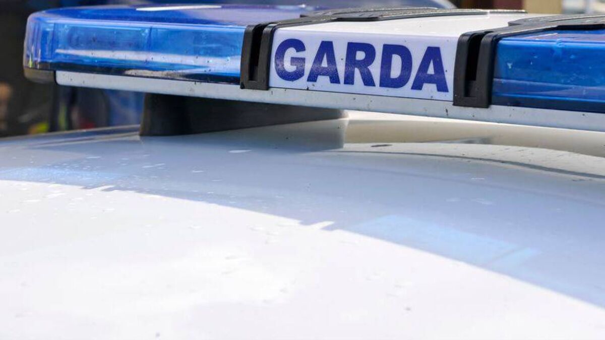 Roscommon Gardaí investigate burglary and trespass incidents