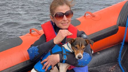 Dog rescued from Lough Ree