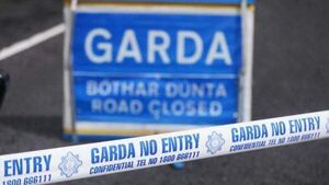 Young girl treated in hospital following dog attack in Co Kerry