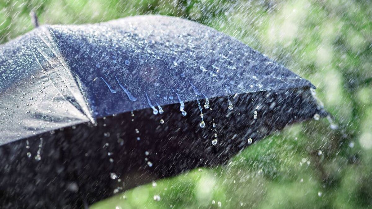 Storm Lilian to bring heavy rain to County Roscommon