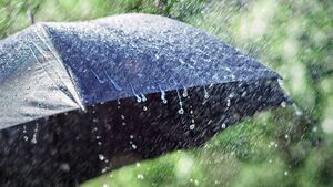 Storm Lilian to bring heavy rain to County Roscommon