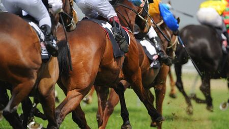 Details announced for next Roscommon Racecourse meeting