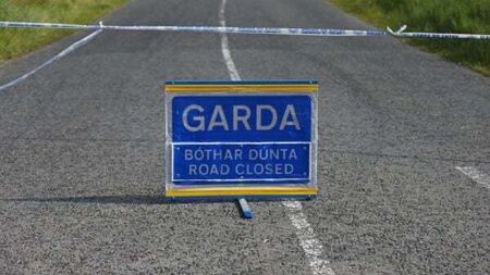 Woman (80s) dies from her injuries following collision in Donegal