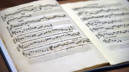 County Roscommon Musical Society looking for young people to play Von Trapp children 