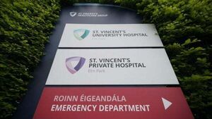 Woman suffers serious injuries after attack by dogs in Dún Laoghaire Woman suffers serious injuries after attack by dogs in Dún Laoghaire