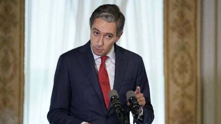 Government will complete full term before election, Simon Harris says