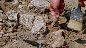 Human remains, coins and rare pin found in County Roscommon handed over to National Museum