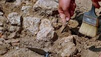Human remains, coins and rare pin found in County Roscommon handed over to National Museum